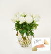 Brievenbusbloemen Rozen Wit