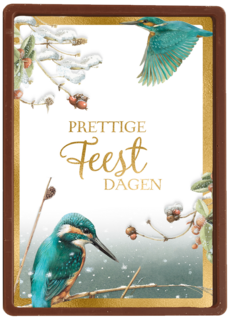 Kerstkaart marjolein bastin ijsvogel