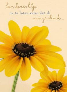 Een berichtje om te laten weten dat ik aan je denk