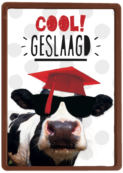 examen cool geslaagd koe