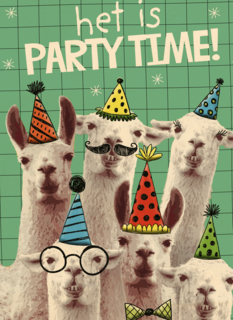 het is partytime met deze lamas