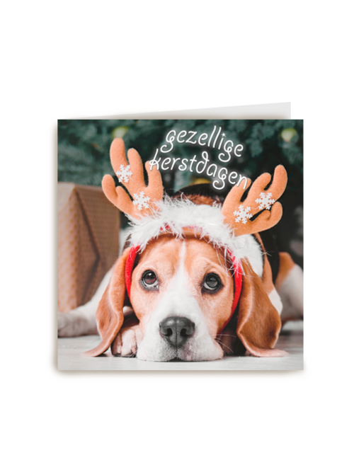 Kerstkaart klassiek hond met gewei