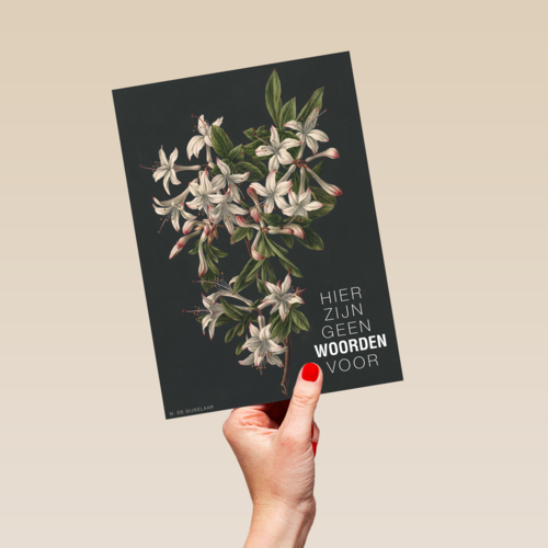 hier zijn geen woorden voor bloemen
