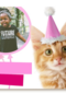 fotkaart met feestlijke kat