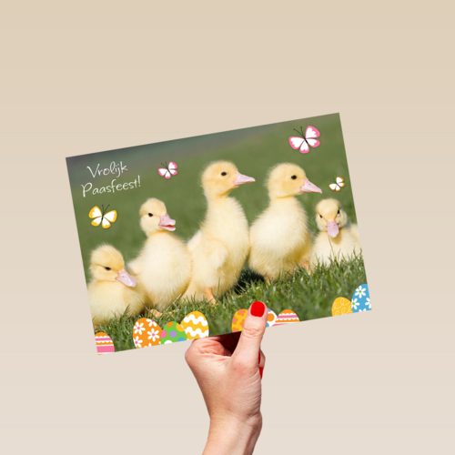 vrolijk passfeest eendjes kaart