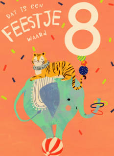 Dat is een feestje waard verjaardagskaart