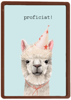 Verjaardag kaart hip happy birthday lama alpaca