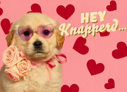 Hey knapperd