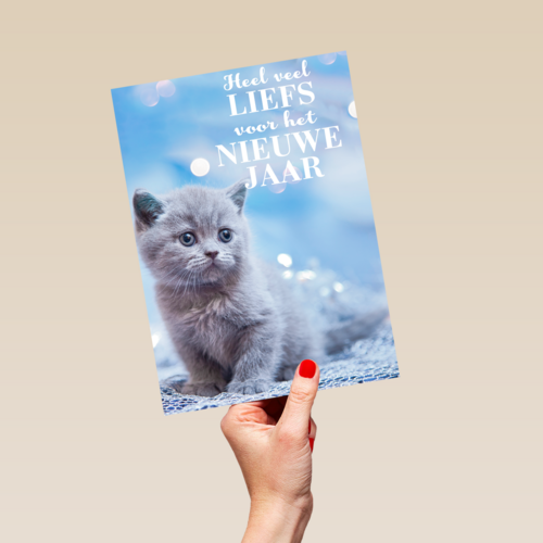 veel liefs voor het nieuwe jaar met deze kitten