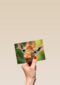 animal fiesta een giraffe met grote ogen