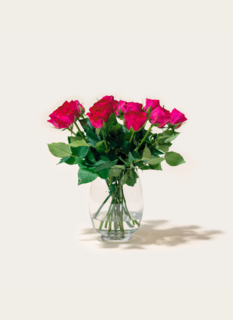 Brievenbusbloemen Rozen Paars