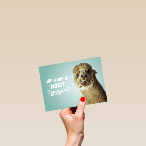 jou word ik niet spuugzat