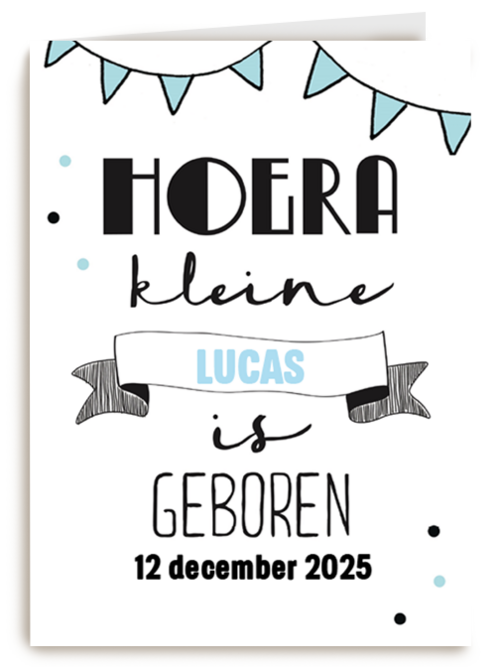hoera een kleine prins is geboren