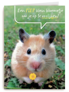 een piepklein bloemetje voor jou