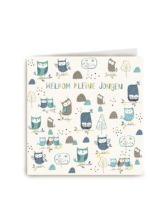geboorte felicitatie jongen uiltjes