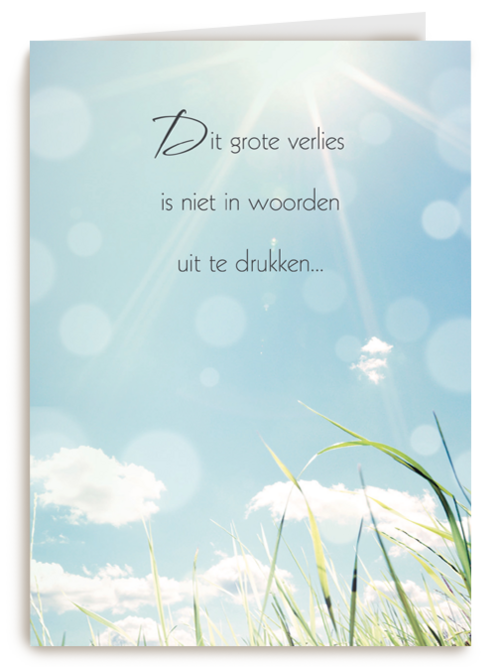 grote verlies woorden uit te drukken