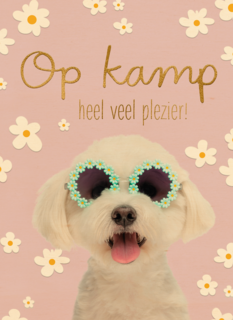 Hond op kamp