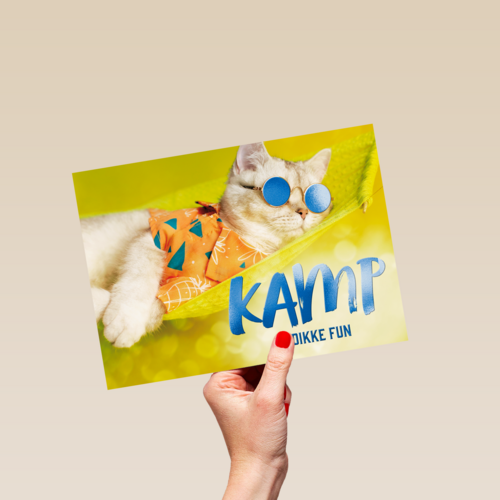 Kamp is dikke fun kat
