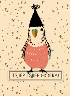 tsjiep tsjiep hoera