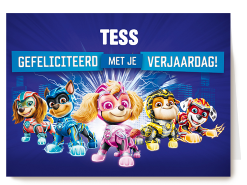 paw patrol verjaardagskaart the mighty movie