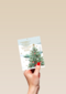 Kerstboom meertalige kerstwens