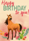 verjaardag kaart spirit happy birthday to you