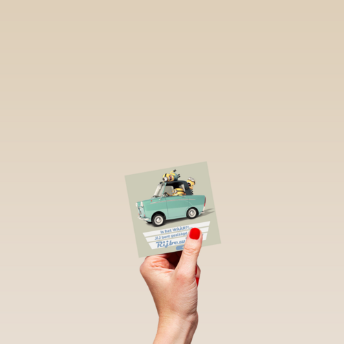 minions jij bent geslaagd voor je rijbewijs