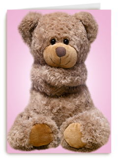 Chromazone Roze knuffelbeer