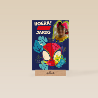 Spidey and friends Verjaardagskaart