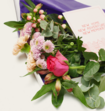 Brievenbusbloemen Pink Touch