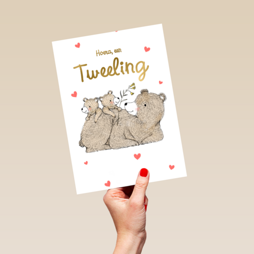 Tweeling geboortefelicitatie 2 lieve beertjes