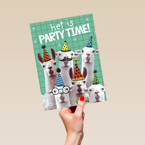 het is partytime met deze lamas
