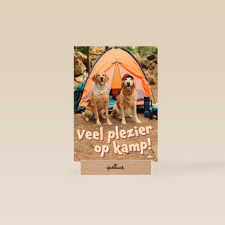 Op kamp kaart 2 honden bij tent