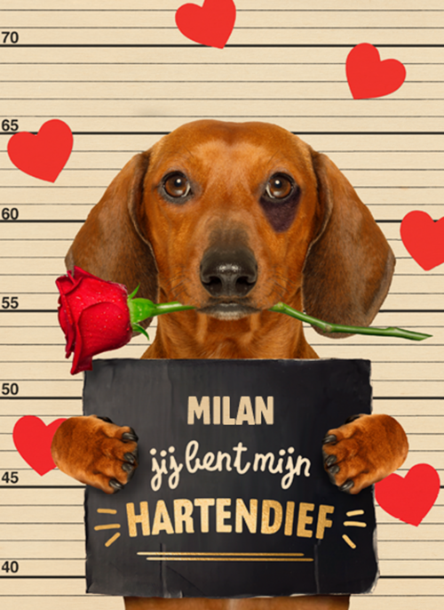Houten Kaart Valentijn | Houten Kaart Hallmark | Valentijn | Valentijn Kaart Hond Jij Bent Mijn Hartendief
