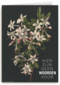 hier zijn geen woorden voor bloemen