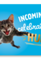 Felicitatie kaart man vrouw incoming celebration hug