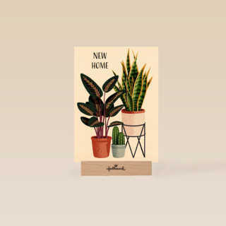 verhuisbericht kaart plantjes folio