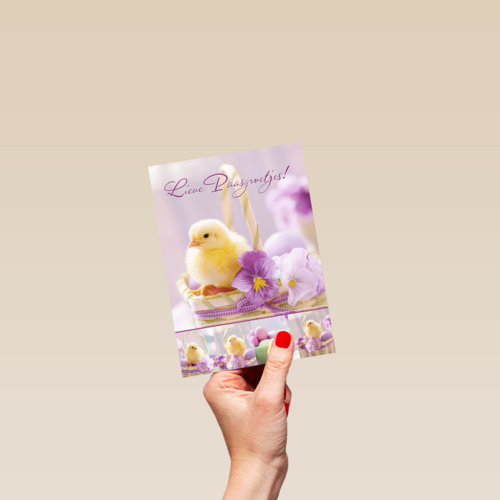 Kuiken in mandje met viooltje lieve paasgroetjes