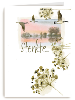 sterkte met dit verlies