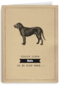 condoleance huisdier jullie lieve hond is er niet meer