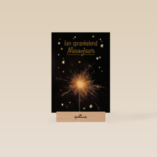 vuurwerk een sprankelend nieuwjaar