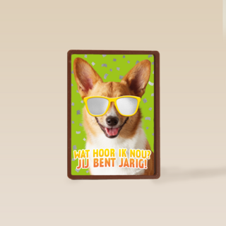 wat een coole hond voor je verjaardag