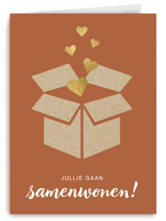 samenwonen kaart doos met liefde