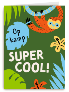 Op kamp super cool