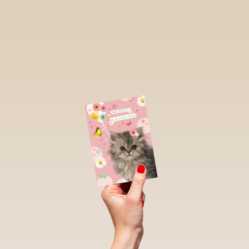 prodo dieren veel plezier op je verjaardag