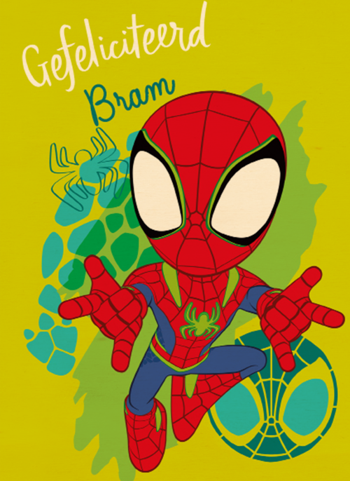Gefeliciteerd Spidey and Friends