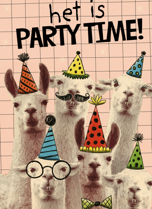 het is weer partytime met deze lamas