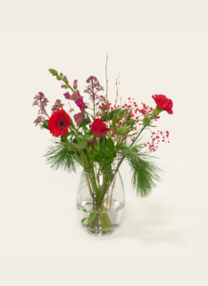 Brievenbusbloemen Ruby Joy