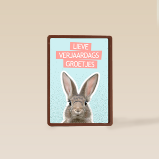 een konijntje voor je verjaardag