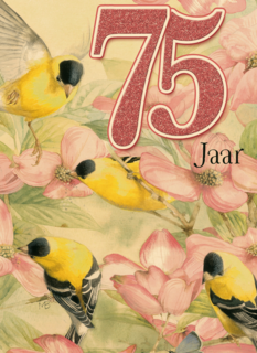 verjaardag leeftijden marjolein bastin 75